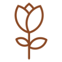 Premium Flowers and Gifts